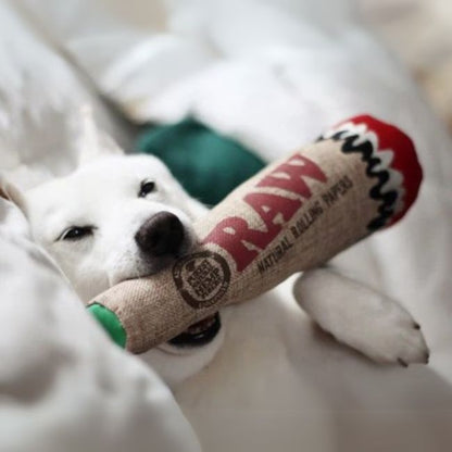 RAW SQUEAKY CONE DOG TOY